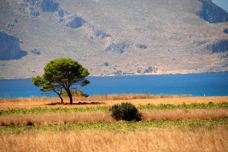 Macari, Castelluzzo, San Vito Lo Capo